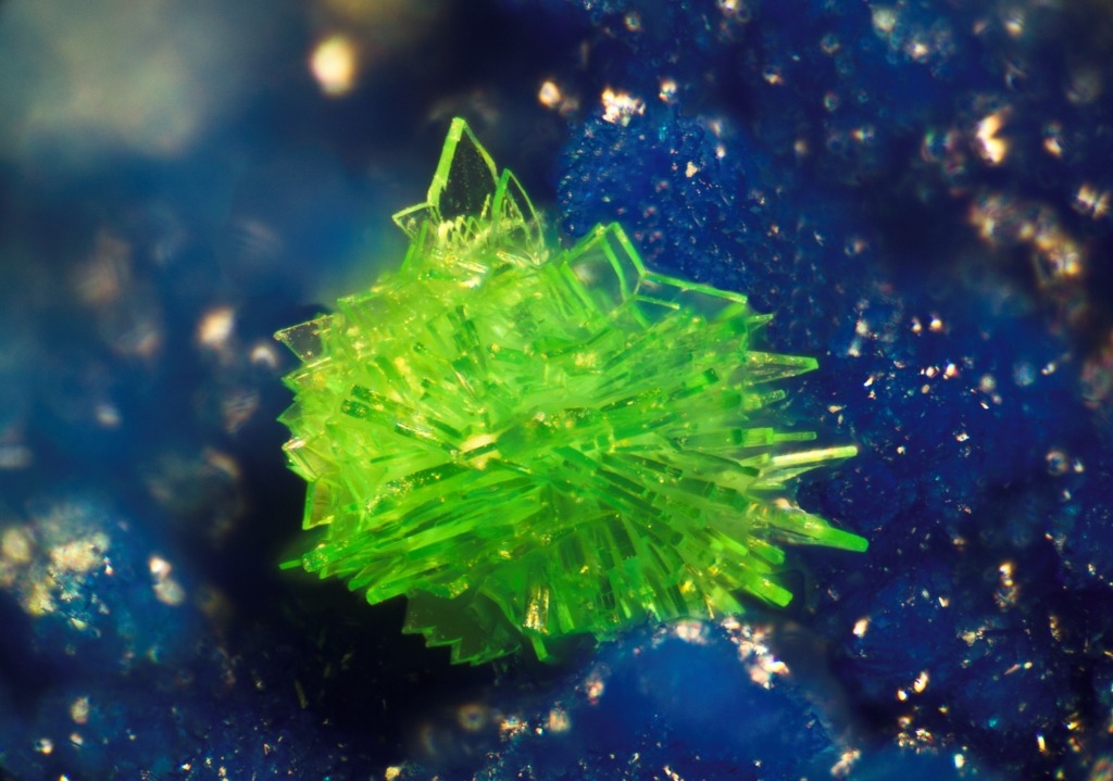 mineralists:  Incredible green crystals of Cualstibite (color is true) on Azurite!