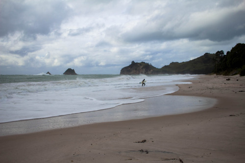 Coromandel Peninsula, New Zealand.