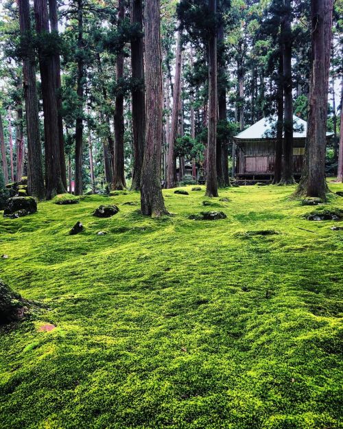 平泉寺白山神社 [ 福井県勝山市 ] Heisenji Hakusan Shrine, Katsuyama, Fukui こちらも今回初めて訪れた場所。お目当ては境内にある、室町時代の管領 #細川高国