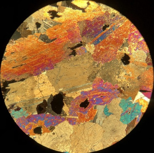 Websterite in thin section Clinopyroxene and orthopyroxene with few anhedral plagioclase crystals in