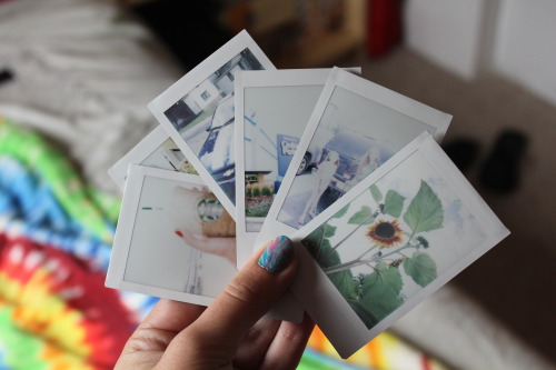 hik4te:another typical polariod pic yay