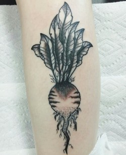 fuckyeahtattoos:  I got this little radish on the back of my calf! Done at American Irons in Lakeland, Florida.