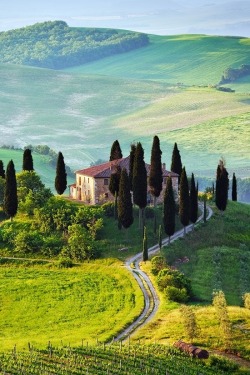 breadandolives:  Tuscany |Source| 