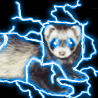 electric ferret