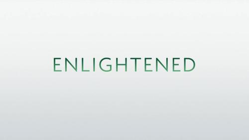  Enlightened (2011-2013) 