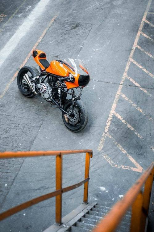 DUCATI TT3 DIFAZIO 900 SS. (via ICON 1000)
