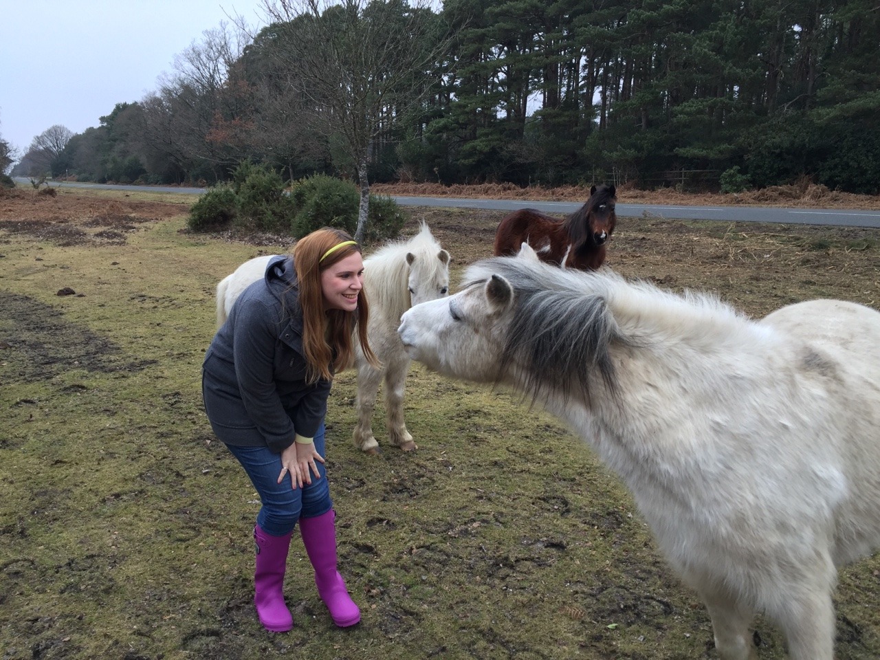 alexinspankingland:  New friends in New Forest today!