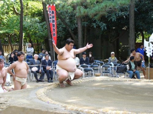 charmers-curves: 奉納相撲 - 船橋大神宮/意富比神社, 船橋, 千葉Dedicatory Sumo - Funabashi Daijingū/Oohi Jinja, Funabash