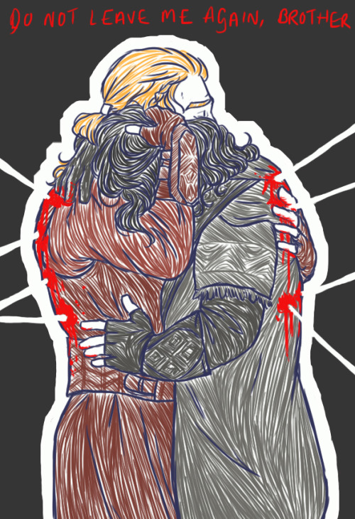 little-smartass:  Watched the Hobbit yesterday and got a lot of Fili and Kili brotherly feels… 