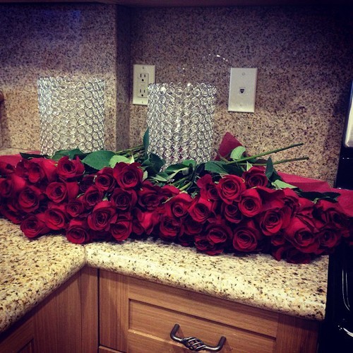 dopegyaaal:  staayclaasssy:  http://staayclaasssy.tumblr.com/  http://dopegyaaal.tumblr.com
