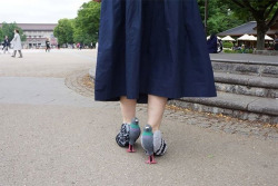 mymodernmet:Japanese Woman Spotted Wearing Heels That Look Exactly Like Pigeons