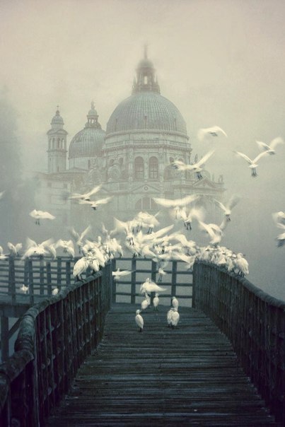 vintagepales: Venice in mist