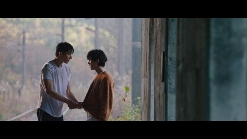 Can't You Stay Here? I Won't Do Anything, Just Stay By Your Side.THE TIME OF FEVER (2024)