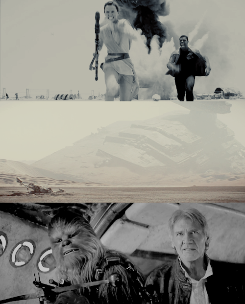 leias: chewie… we’re home