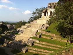 go-validia:  Above’s view to pyramid in Palenque  All beauty city hidden in the jungle to Chiapas, Mexico.  The archaeologist area is huge and gets into the jungle, between rivers and gigantic trees.  This is my land, Mexico. 