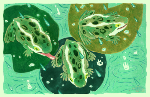 tropicalsteppe:Frog pond