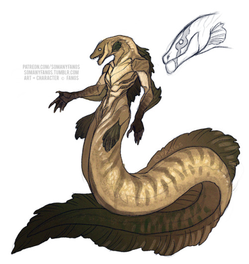 somanyfangs: fangedknight: an eel named lee (might be a place-holder name but might also be his actu