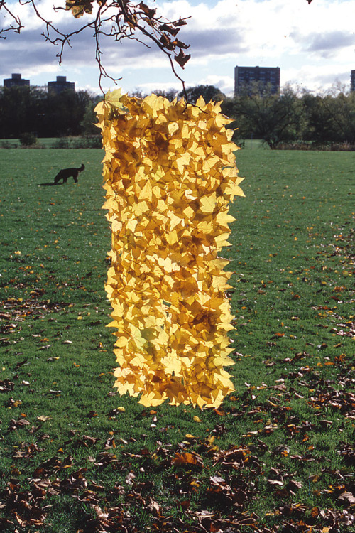 Andy Goldsworthy is a British sculptor, photographer and environmentalist producing site-specific sc
