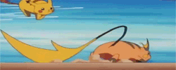havent-you-noticed-omastar: The continued rivalry of Pikachu and Raichu