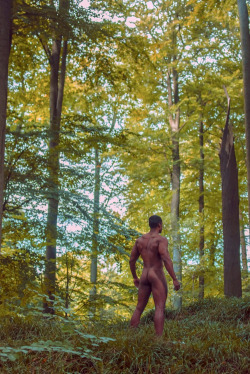 gay, sex, naked,nature