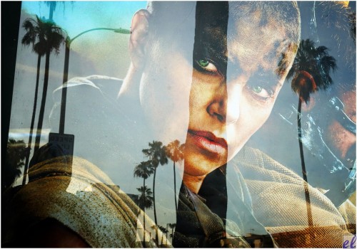 Bus stop poster: Reflection. Los Angeles palm trees reflected against a bus stop shelter’s advertising poster. Single image, no pp layers.