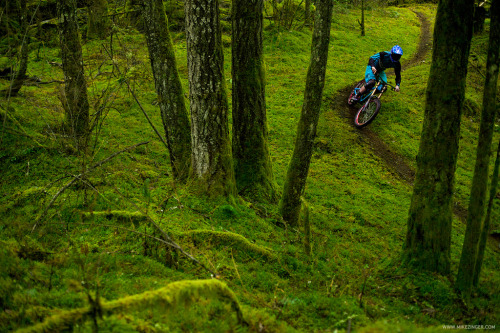 feebly: (via Behind the Lens - Mike Zinger - Pinkbike)