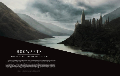 vincere-semper:  Hogwarts: A History + The adult photos