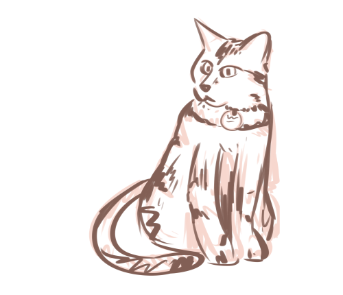 $Discount$ Reference Sketches