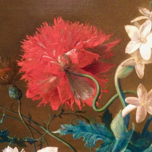 historyofartdaily: Jan Van Huysum (1682 - 1749), Flowers, oil on canvas, Museum of Fine Arts, Strasb