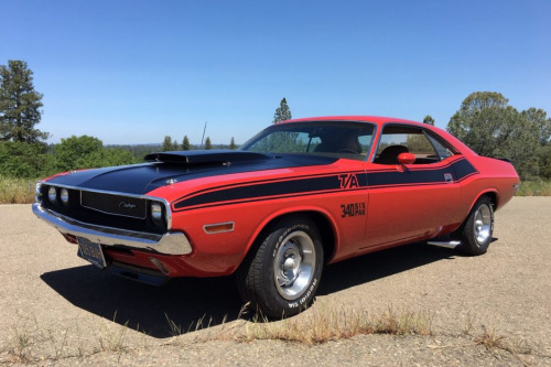 XXX jacdurac: 1970 Dodge Challenger T/A 340 Six-Pack photo