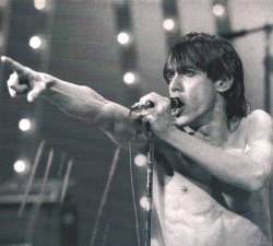 All Iggy Pop All The Time