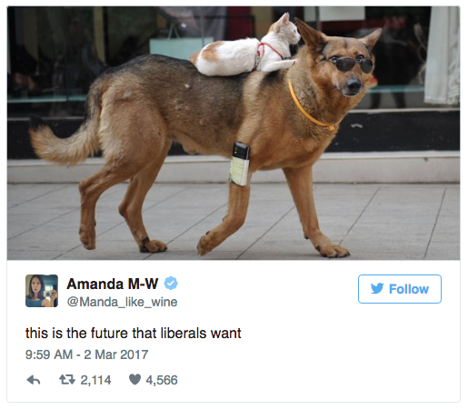 kzaketchum:  buzzfeed:This Far-Right Tweet About “The Future That Liberals Want”