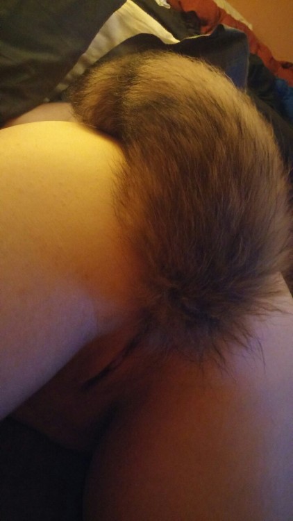 abearandhiskitten:  Thanks thespankacademy for our new fluffy fun tail!   @Thespankacademy has some pretty nice tails. I have one myself.