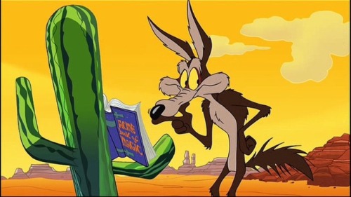 therealfelixthecat: Cast Us A Spell Wile E.!