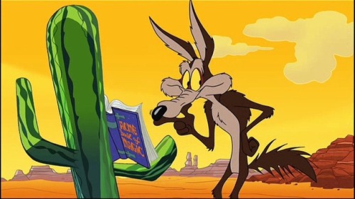 wile e coyote