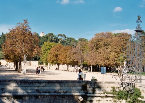 Jardins de la Fontaine Looking Toward Tour Magne, Nîmes, France, 2005.Nîmes and its surroundings con