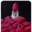 sir-eelus