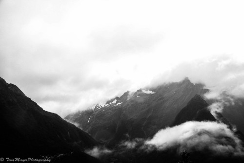 Mountain StudyRouteburn Great Walk, New Zealand