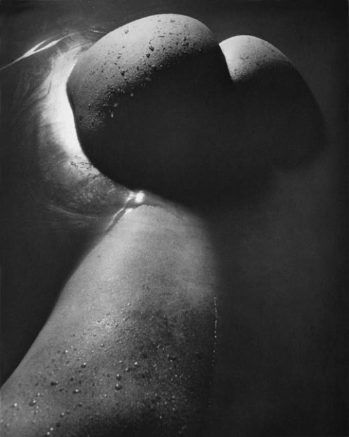 nevver:  Shapes of things, Hermann Forsterling 