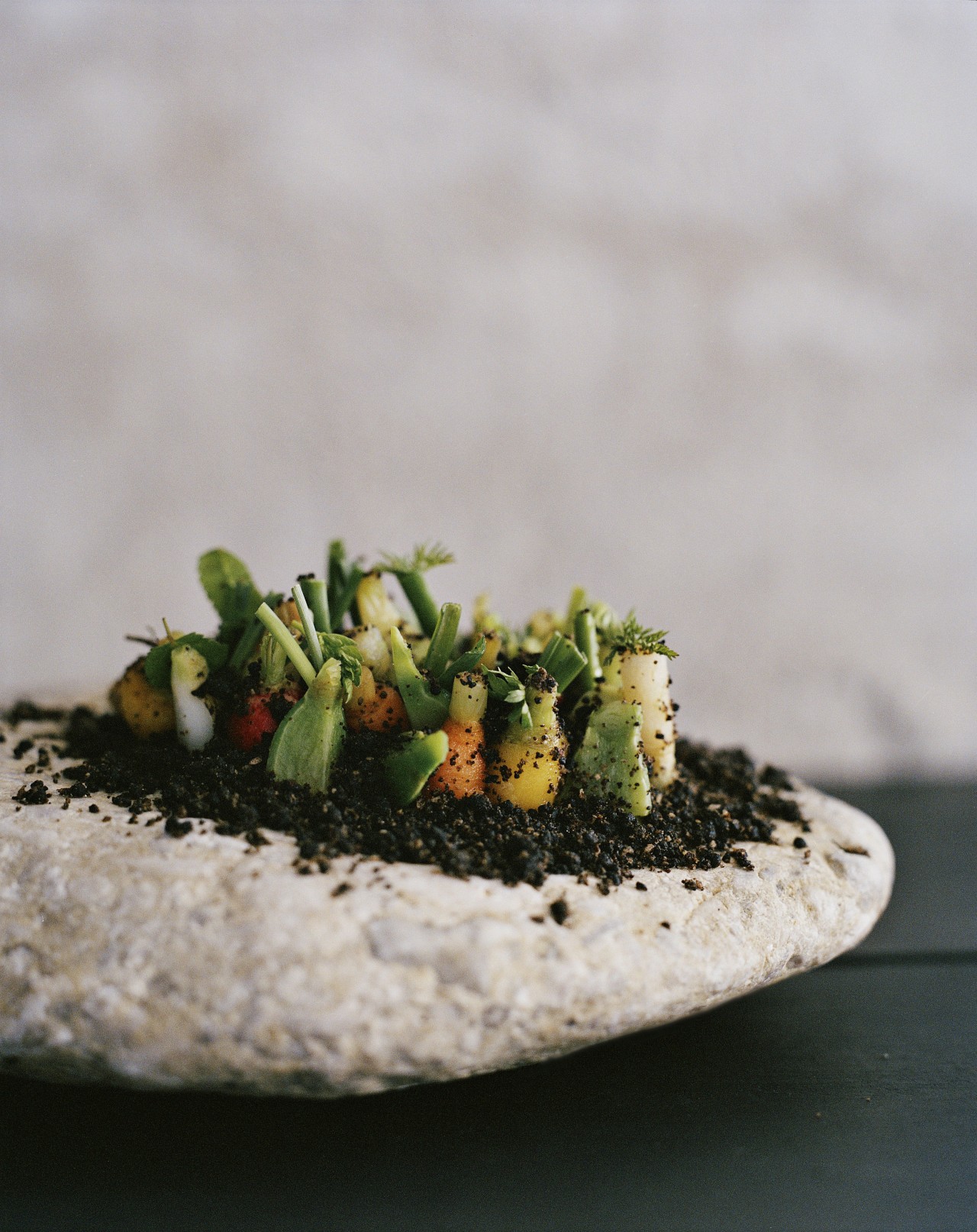 this-is-letter27:  Ditte Isager—photographs from Noma: Time and Place in Nordic