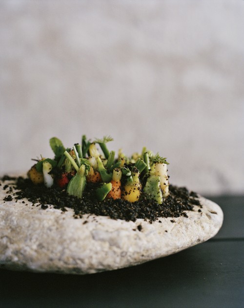 this-is-letter27:  Ditte Isager—photographs from Noma: Time and Place in Nordic Cuisine.