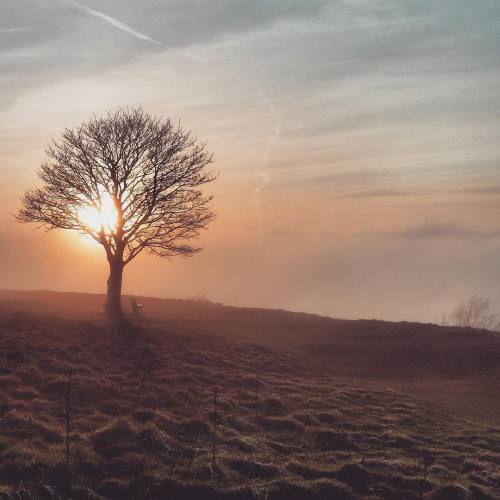 national-trust:A frosty sunrise at Cissbury Ring – where is your favourite place for a winter 