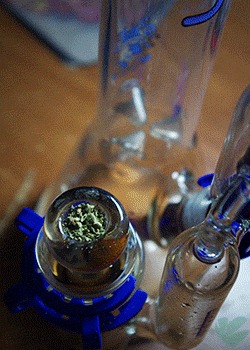 Weedporndaily:  Wakin Bakin