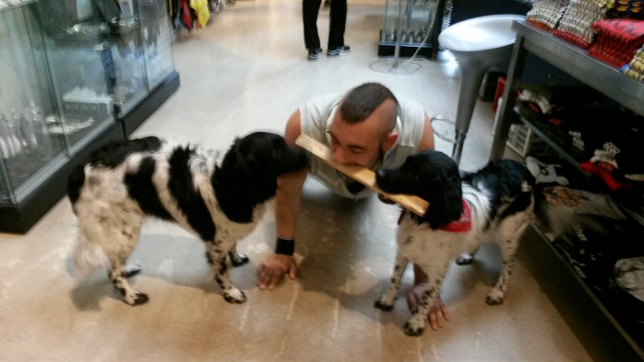 dieselpup:  Can’t afford anything in the shop?  Who cares?!  Puppies! 