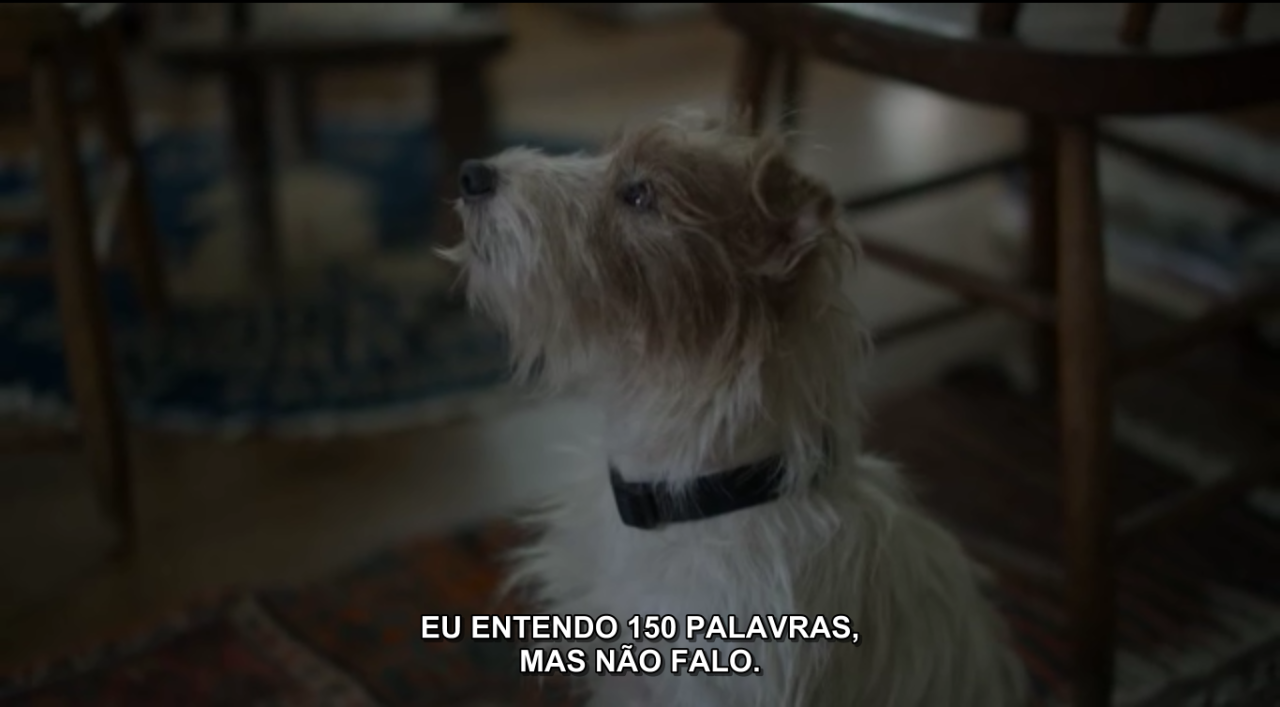 umafestapromeucancer:  lista dos melhores filmes 