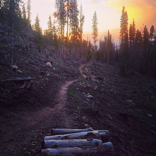 Mountainside Braaap. #Breckenridge #Colorado #mountainbiking #singletrack #cycling (at Flume Trails)