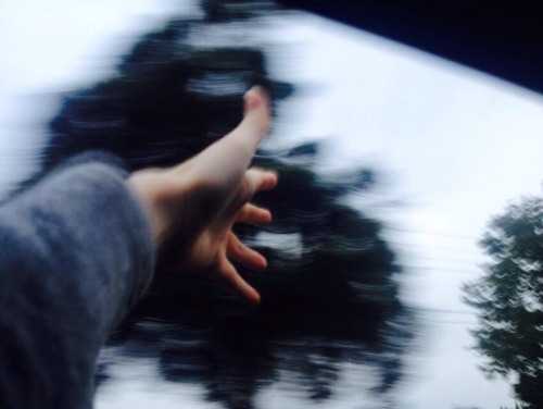 behindthegarage:  For the one you can never get off your mind. the one that got away.  //Sweetheart, what have you done to us- Keaton Henson // Spirit desire (Acoustic)- Tigers Jaw // I wish you were still here, i wish you weren’t still- Contron //