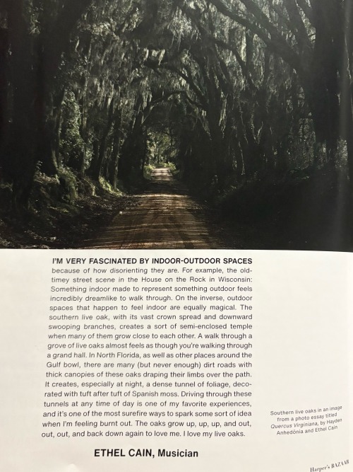 Harper’s BAZAAR Now Issue April 2025 