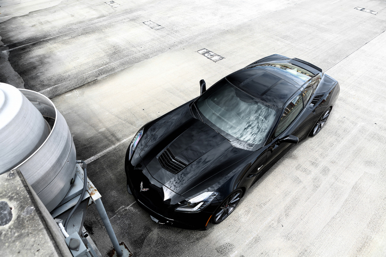 czar4curves-deactivated20131223:  2014 Corvette Stingray 