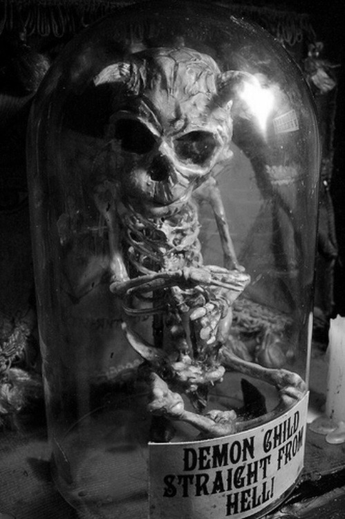 cassiesteele:  I hope I get a fancy glass case when I die 